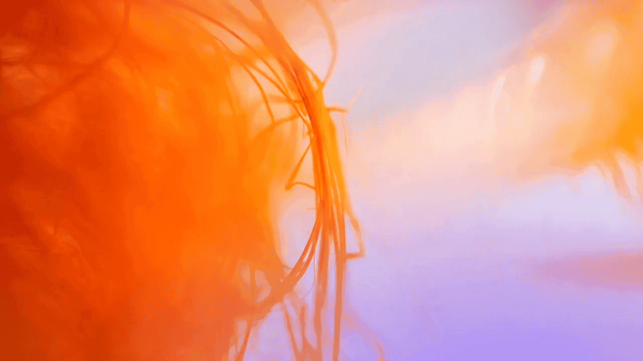 Abstract close-up of orange fibers against a soft gradient background of pink and purple hues.